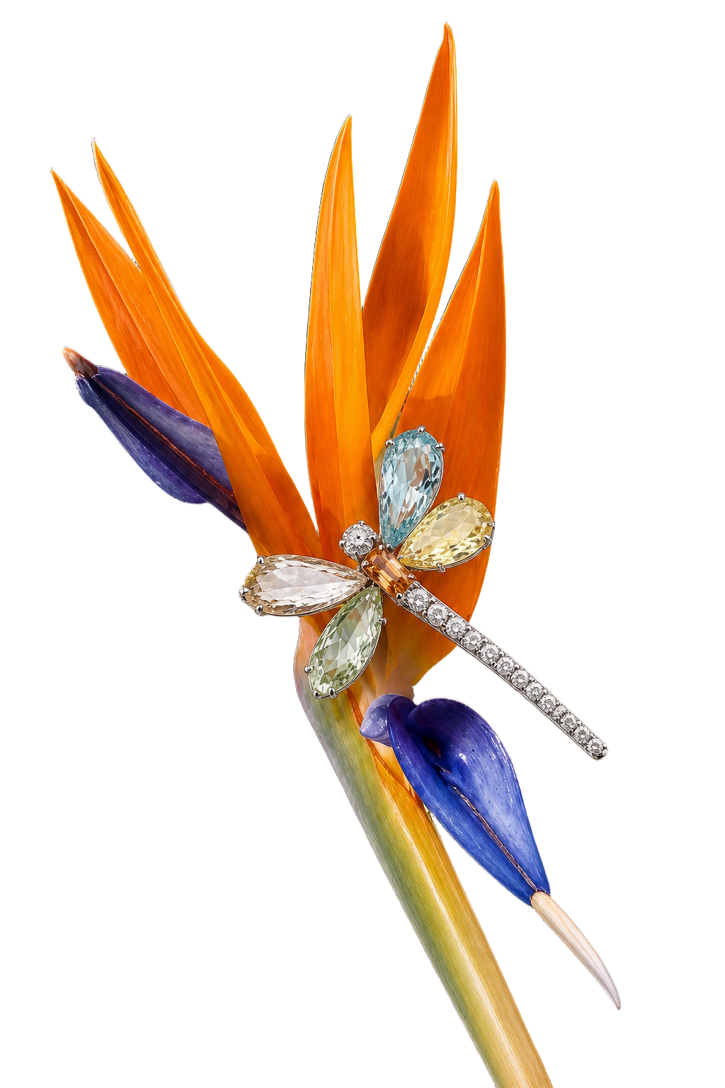 Joia Libélula
